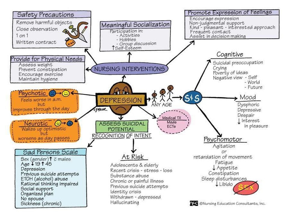 Memory Notebook of Nursing A Collection of Visual Images and Mnemonics PowerPoint Presentation PPTX (108 Pages)