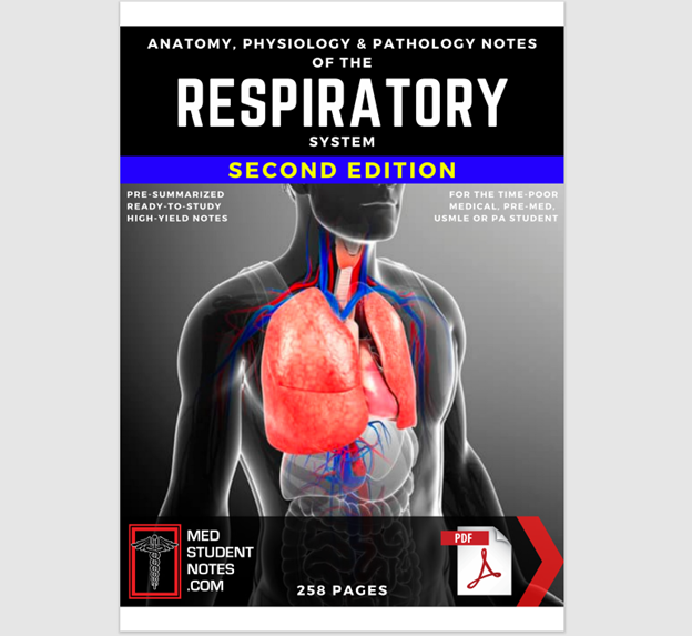 Respiratory System Notes Medical Study MBBS, MD, MBChB, USMLE, PA & Nursing Illustrated Summary Anatomy & Physiology