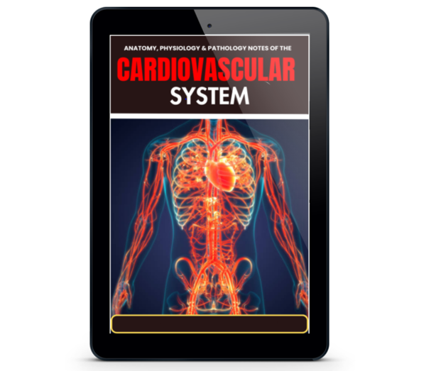 cardiovascular system Medical Study MBBS, MD, MBChB, USMLE, PA & Nursing illustrated summaries