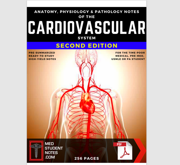 cardiovascular system Medical Study MBBS, MD, MBChB, USMLE, PA & Nursing illustrated summaries